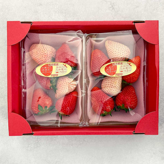 【栃木県産】ミルキーベリー＆スカイベリー 250g×2パック（税込）