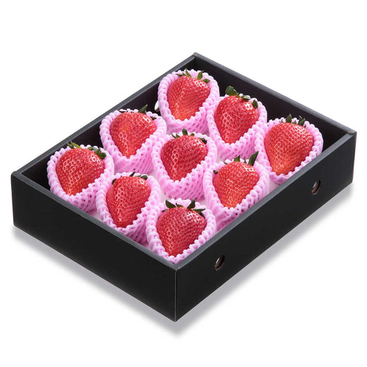 【栃木県産】最上級SEクラス スカイベリー 極大粒 450g（8粒から11粒）化粧箱入（税込）