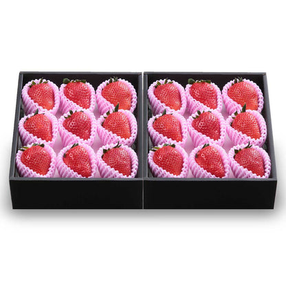 【栃木県産】最上級SEクラス スカイベリー極大粒 900g（16粒から22粒）化粧箱入（税込）