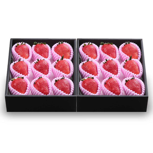 【栃木県産】最上級SEクラス スカイベリー極大粒 900g（16粒から22粒）化粧箱入（税込）