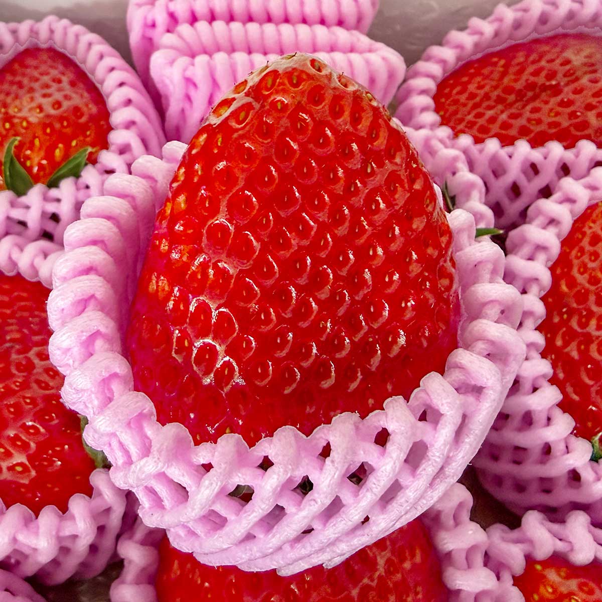 厳選いちご 古都華（ことか）