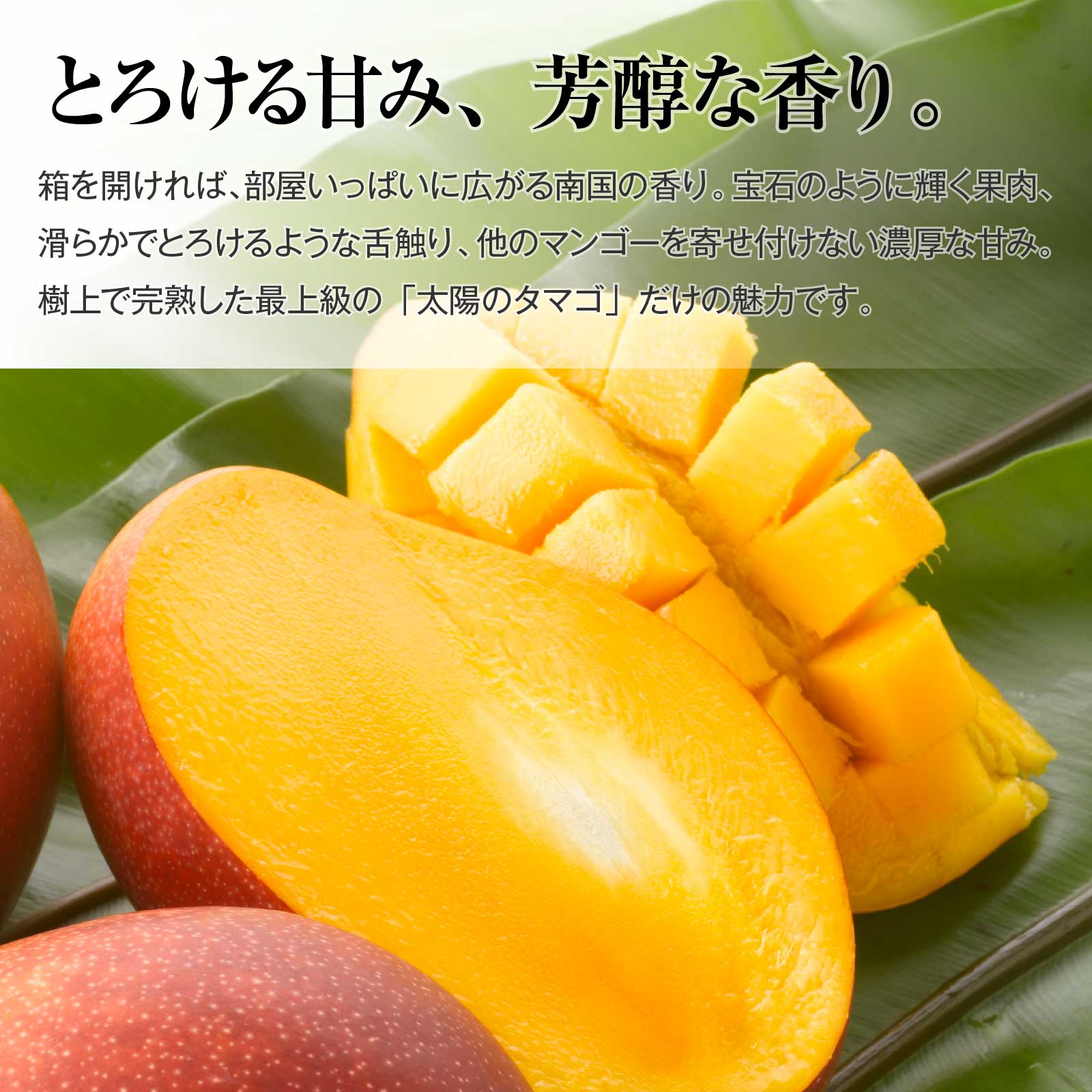 宮崎中央地区限定】最上級 赤秀品(AA品) 太陽のタマゴ 高級木箱入 5L×3
