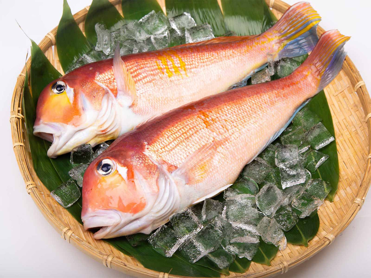 島根県産 干物 甘鯛