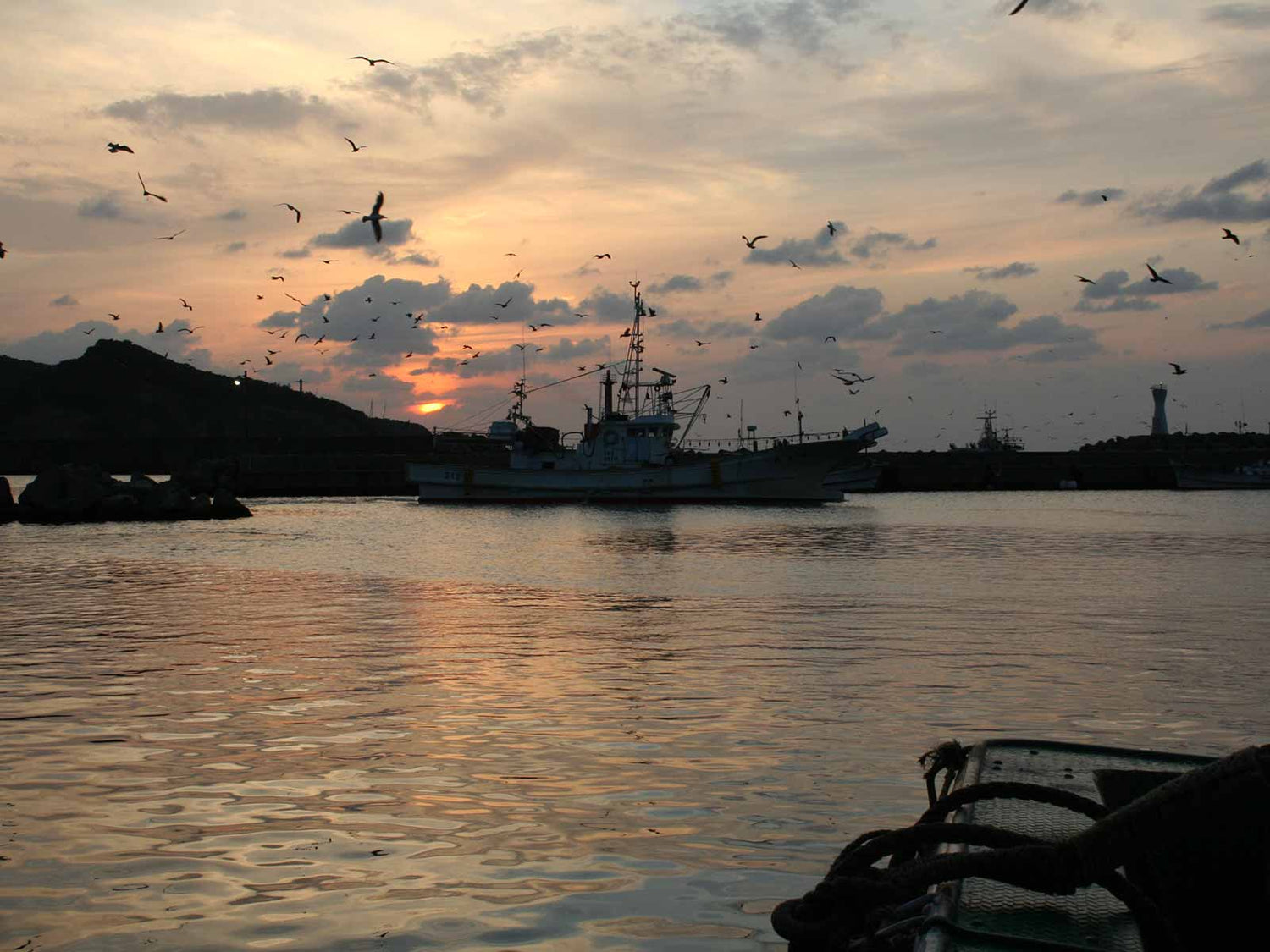島根県産 干物 一日漁