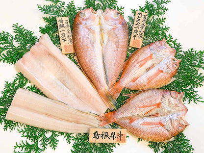 島根県産 干物 【一日漁・一夜干】 福禄寿.