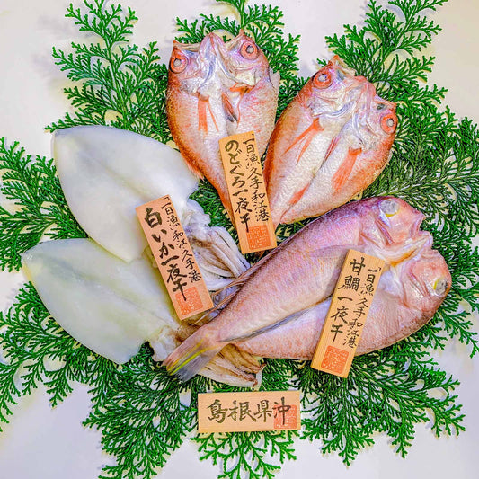 島根県産 干物 【一日漁・一夜干】 銀山.