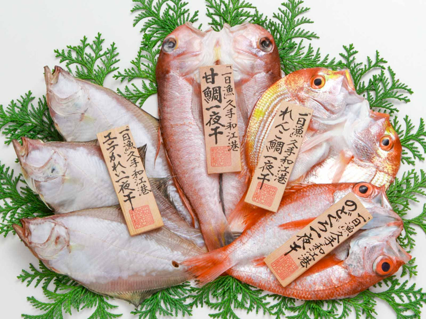 島根県産 干物 【一日漁・一夜干】 恵比寿.