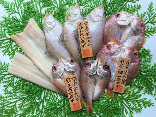 島根県産 干物 【一日漁・一夜干】 弁天