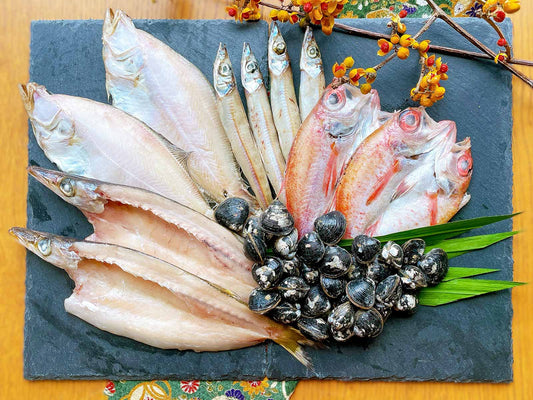 島根県産 干物 島根県和食セット 朝凪