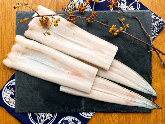 島根県産 干物 天女の羽衣 あなご（穴子）一夜干し2枚詰め合わせ