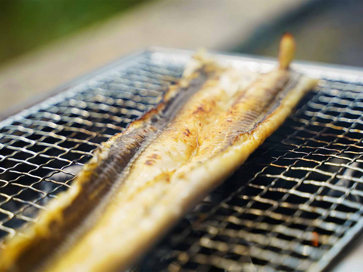 島根県産 干物 穴子 白焼き