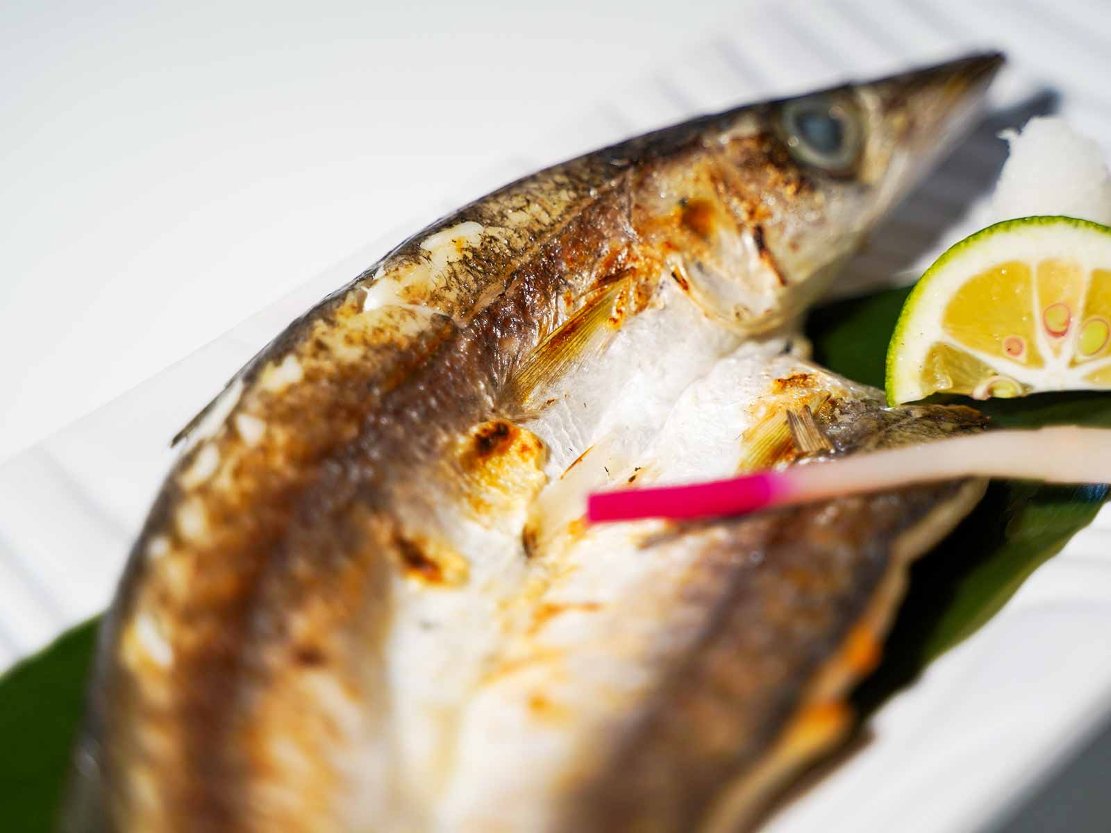 島根県産 干物 かます