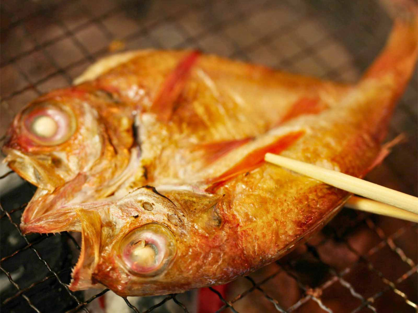 島根県産 干物  のどぐろ 網焼き 背側