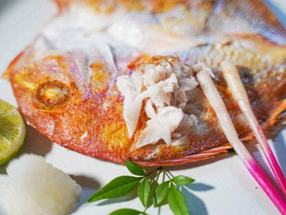 島根県産 干物 れんこ鯛